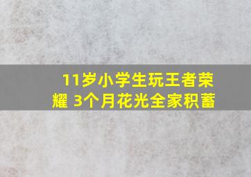 11岁小学生玩王者荣耀 3个月花光全家积蓄